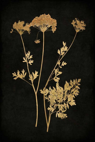 Golden Nature III Black Ornate Wood Framed Art Print with Double Matting by Bennett, Kate