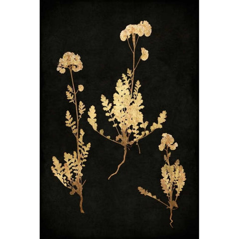 Golden Nature V Black Modern Wood Framed Art Print with Double Matting by Bennett, Kate