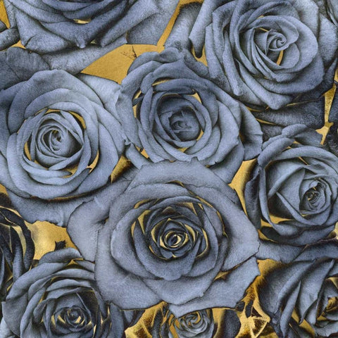 Roses - Blue on Gold White Modern Wood Framed Art Print by Bennett, Kate