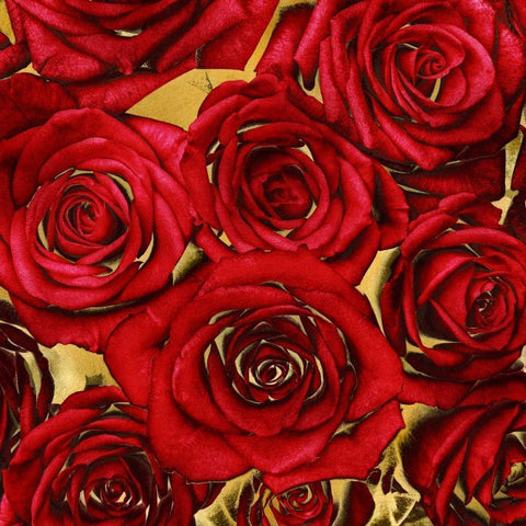 Roses - Red on Gold White Modern Wood Framed Art Print by Bennett, Kate