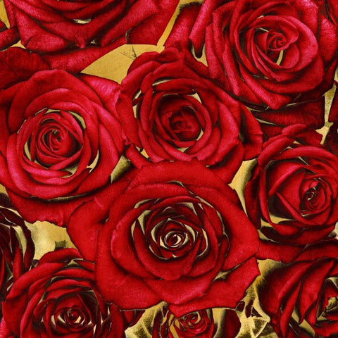 Roses - Red on Gold White Modern Wood Framed Art Print with Double Matting by Bennett, Kate