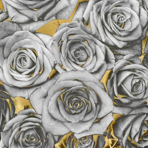 Roses - Silver on Gold White Modern Wood Framed Art Print by Bennett, Kate