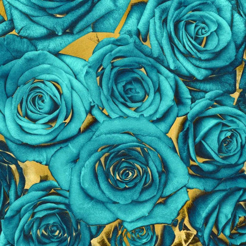 Roses - Teal on Gold Black Modern Wood Framed Art Print with Double Matting by Bennett, Kate