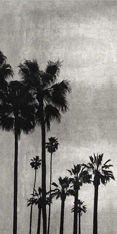 Palm Silhouette on Silver I White Modern Wood Framed Art Print with Double Matting by Bennett, Kate