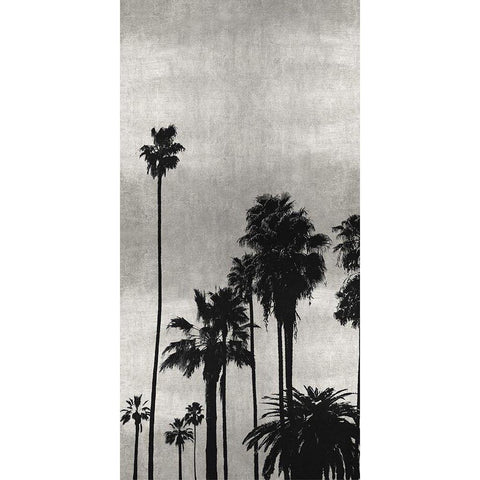 Palm Silhouette on Silver II White Modern Wood Framed Art Print by Bennett, Kate