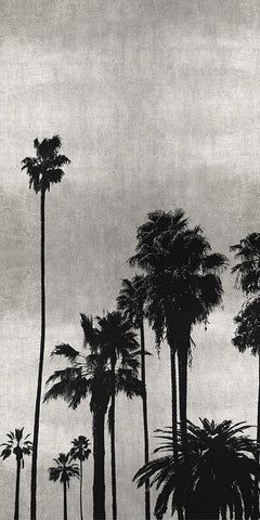 Palm Silhouette on Silver II Black Ornate Wood Framed Art Print with Double Matting by Bennett, Kate