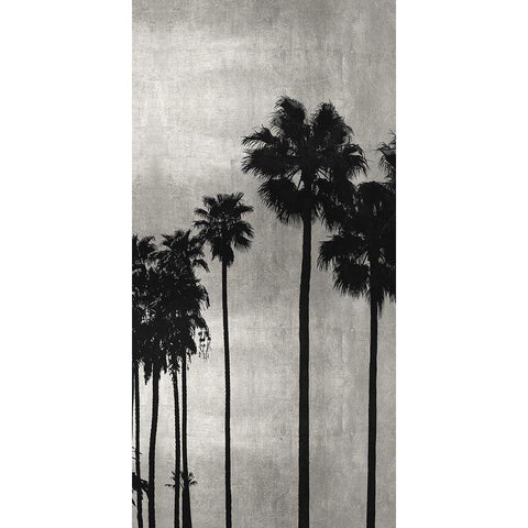 Palm Silhouette on Silver III Black Modern Wood Framed Art Print with Double Matting by Bennett, Kate