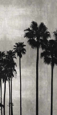 Palm Silhouette on Silver III Black Ornate Wood Framed Art Print with Double Matting by Bennett, Kate