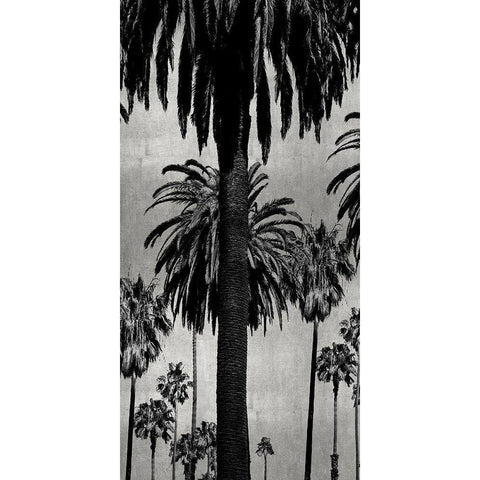 Palms with Silver I White Modern Wood Framed Art Print by Bennett, Kate