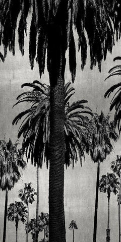 Palms with Silver I Black Ornate Wood Framed Art Print with Double Matting by Bennett, Kate