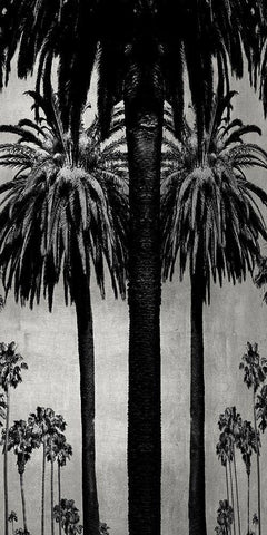 Palms with Silver II Black Ornate Wood Framed Art Print with Double Matting by Bennett, Kate