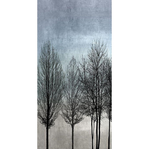 Tree Silhouette I Black Modern Wood Framed Art Print with Double Matting by Bennett, Kate