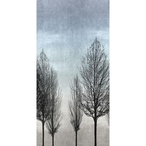 Tree Silhouette II Black Modern Wood Framed Art Print with Double Matting by Bennett, Kate