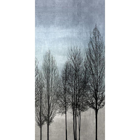 Tree Silhouette III Black Modern Wood Framed Art Print with Double Matting by Bennett, Kate