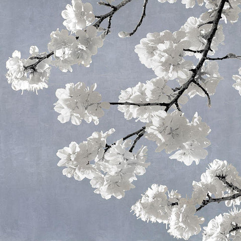 Blossoms on Blue II White Modern Wood Framed Art Print by Bennett, Kate