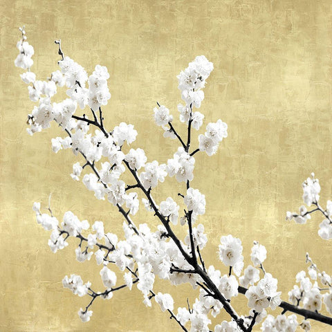 Blossoms on Gold I White Modern Wood Framed Art Print with Double Matting by Bennett, Kate