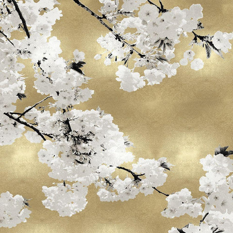 Blossoms on Gold III Black Ornate Wood Framed Art Print with Double Matting by Bennett, Kate