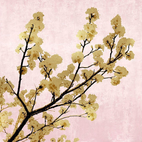 Gold Blossoms on Pink II White Modern Wood Framed Art Print by Bennett, Kate