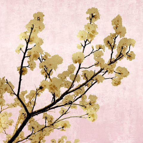 Gold Blossoms on Pink II White Modern Wood Framed Art Print with Double Matting by Bennett, Kate