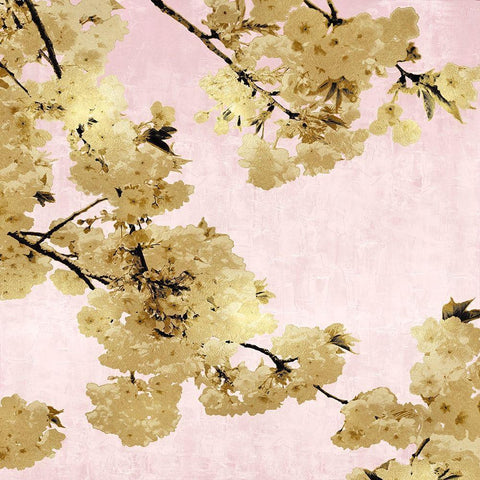 Gold Blossoms on Pink III Black Modern Wood Framed Art Print with Double Matting by Bennett, Kate