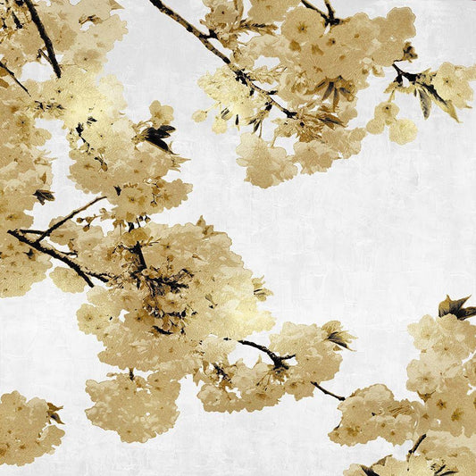 Image Only