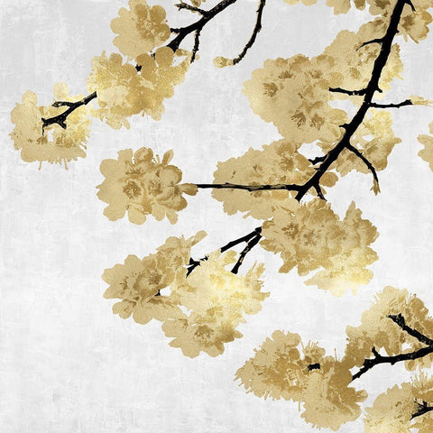 Gold Blossoms on White II White Modern Wood Framed Art Print with Double Matting by Bennett, Kate