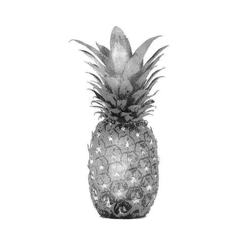 Pineapple Gray I Black Modern Wood Framed Art Print by Bennett, Kate