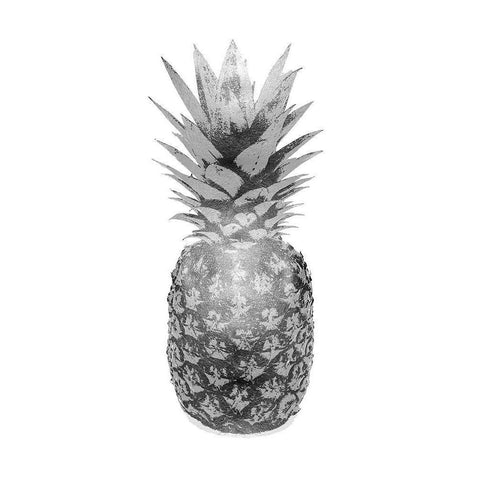 Pineapple Gray II Black Modern Wood Framed Art Print with Double Matting by Bennett, Kate