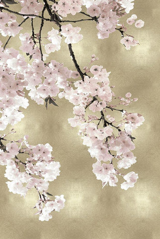 Pink Blossoms on Gold I Black Ornate Wood Framed Art Print with Double Matting by Bennett, Kate