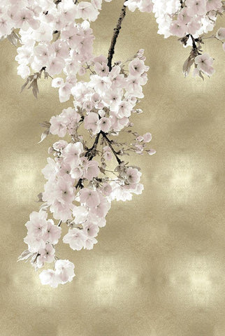 Pink Blossoms on Gold II White Modern Wood Framed Art Print with Double Matting by Bennett, Kate