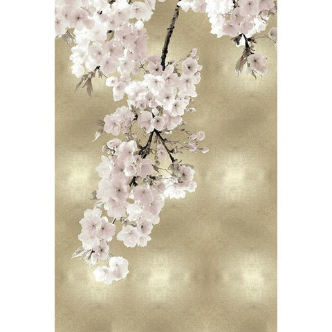 Pink Blossoms on Gold II Black Modern Wood Framed Art Print with Double Matting by Bennett, Kate