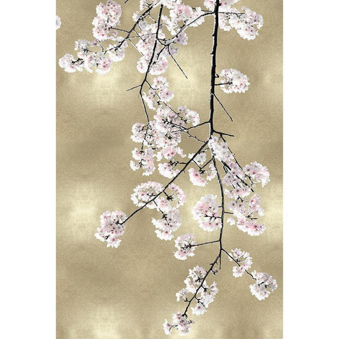 Pink Blossoms on Gold III Black Modern Wood Framed Art Print with Double Matting by Bennett, Kate