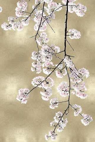 Pink Blossoms on Gold III Black Ornate Wood Framed Art Print with Double Matting by Bennett, Kate