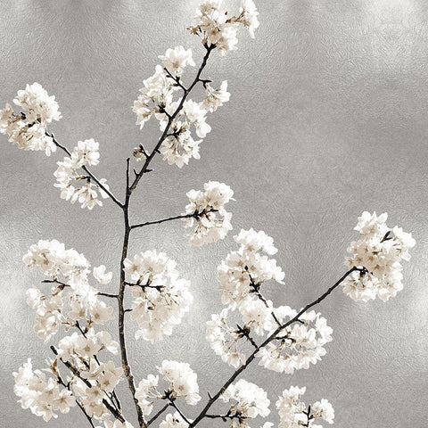 Silver Blossoms I Black Modern Wood Framed Art Print with Double Matting by Bennett, Kate