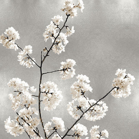 Silver Blossoms I White Modern Wood Framed Art Print with Double Matting by Bennett, Kate