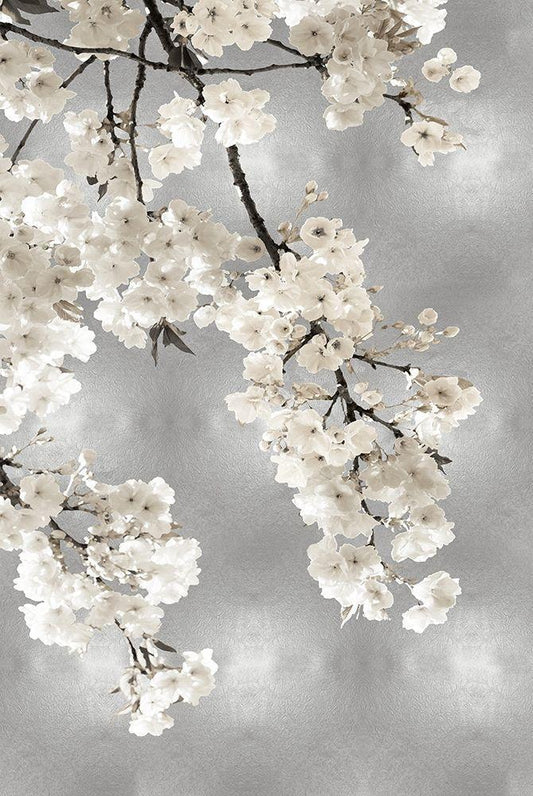 Image Only