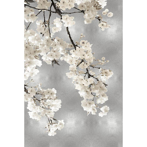 White Blossoms on Silver I Black Modern Wood Framed Art Print with Double Matting by Bennett, Kate