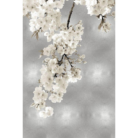 White Blossoms on Silver II White Modern Wood Framed Art Print by Bennett, Kate