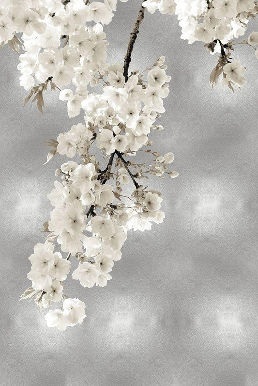 Image Only
