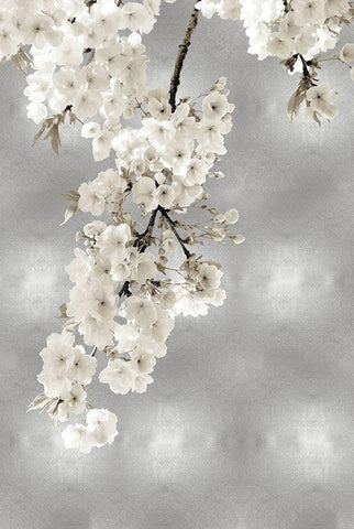 White Blossoms on Silver II Black Ornate Wood Framed Art Print with Double Matting by Bennett, Kate