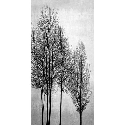 Trees on Silver Panel I Black Modern Wood Framed Art Print with Double Matting by Bennett, Kate