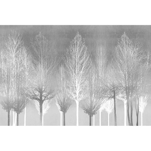 Silver Trees Black Modern Wood Framed Art Print with Double Matting by Bennett, Kate