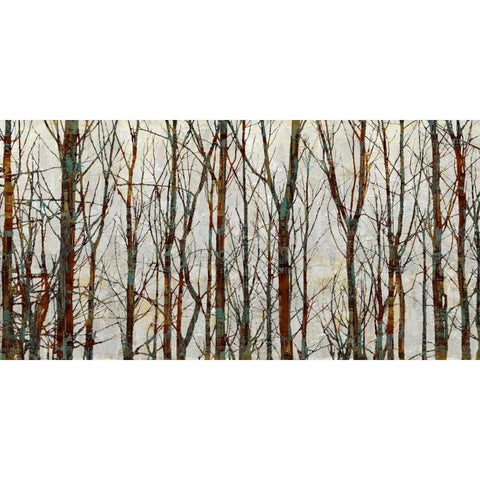 Into the Woods Black Modern Wood Framed Art Print with Double Matting by Webster, Kyle