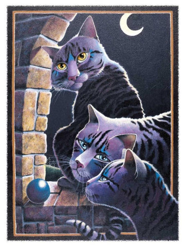 Black Magic White Modern Wood Framed Art Print with Double Matting by Seeley, Laura