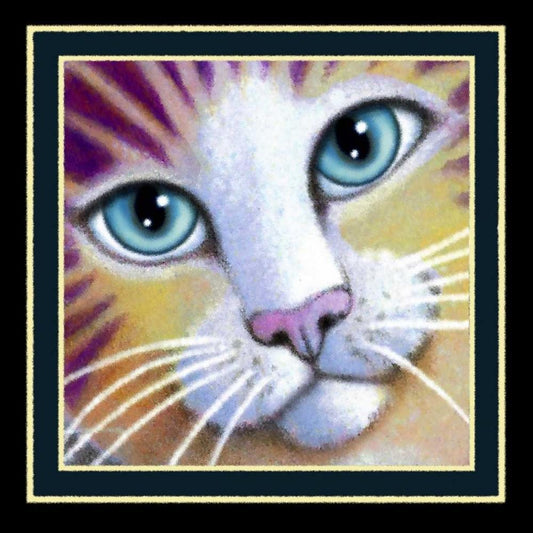 Image Only