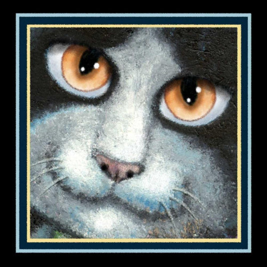Image Only