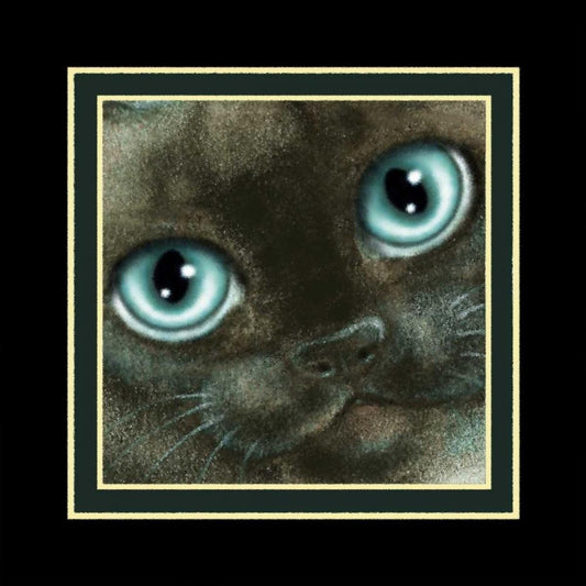 Image Only