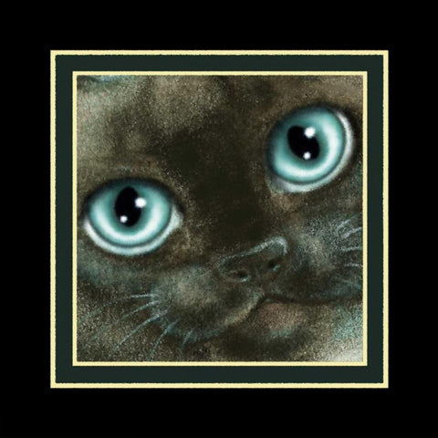 Nights in White Satin (Detail Black Ornate Wood Framed Art Print with Double Matting by Seeley, Laura