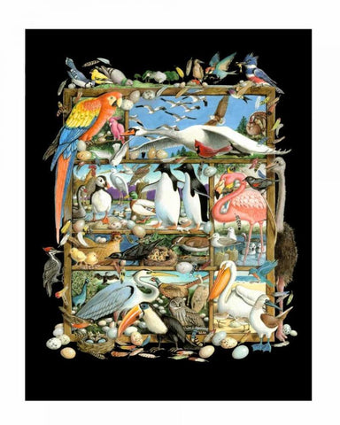 Shadowbox Hunt -Birds of a Fea Black Ornate Wood Framed Art Print with Double Matting by Seeley, Laura