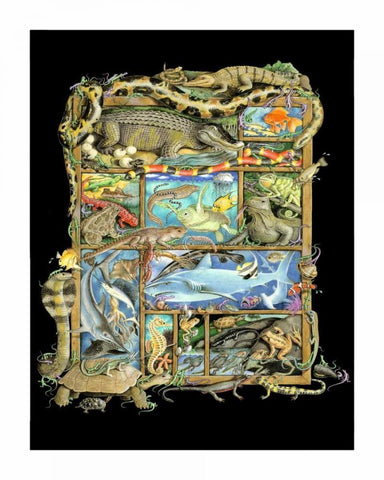 Shadowbox Hunt -Reptiles, Fish White Modern Wood Framed Art Print with Double Matting by Seeley, Laura